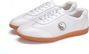 ICNBUY Tai Chi Shoes Review