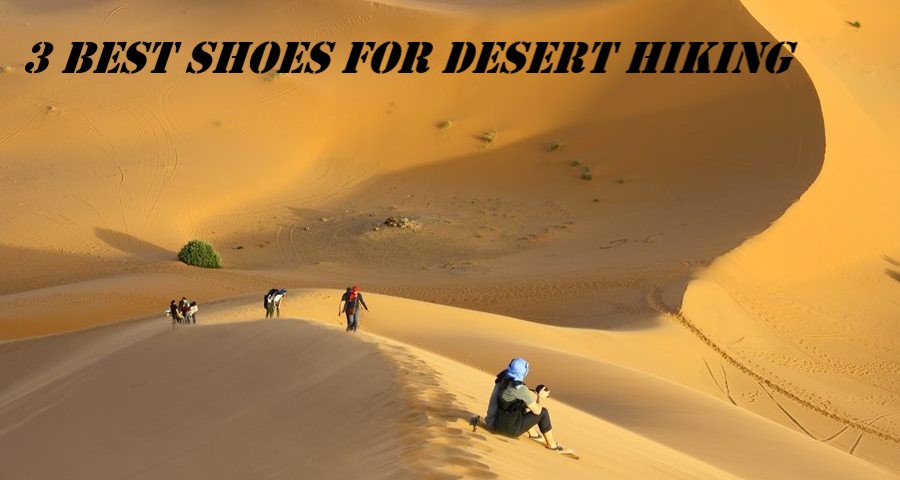 Best Shoes For Desert Hiking Reviewed